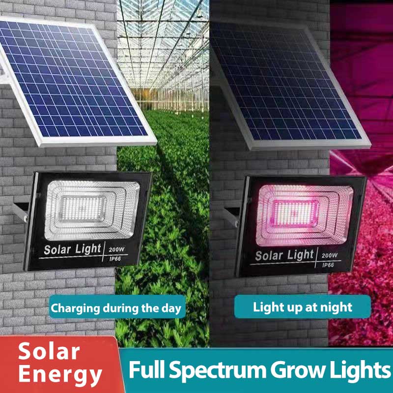 Solar Powered LED Plant Grow L - Renewable Energy Project review and price