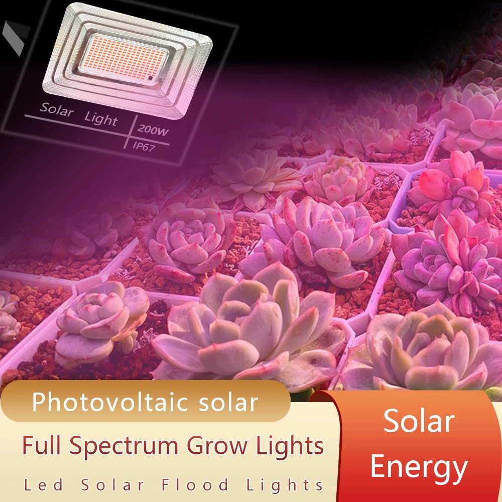 Solar Powered LED Plant Grow L - Renewable Energy Project review and price