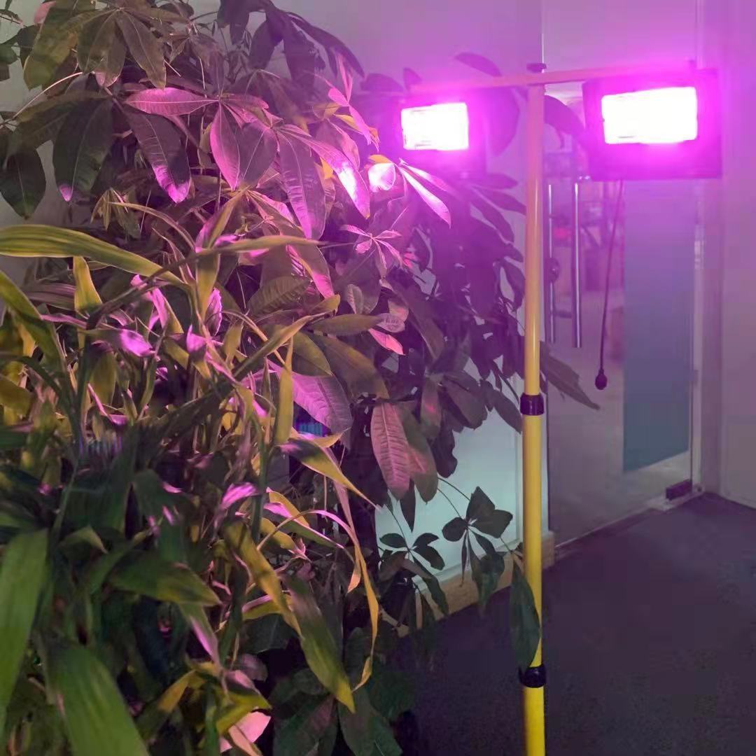 Solar Powered LED Plant Grow L - Renewable Energy Project review and price